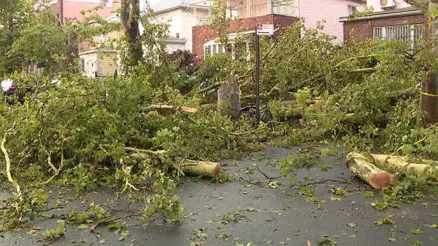 Brooklyn 'microburst' tears through area, causing widespread damage