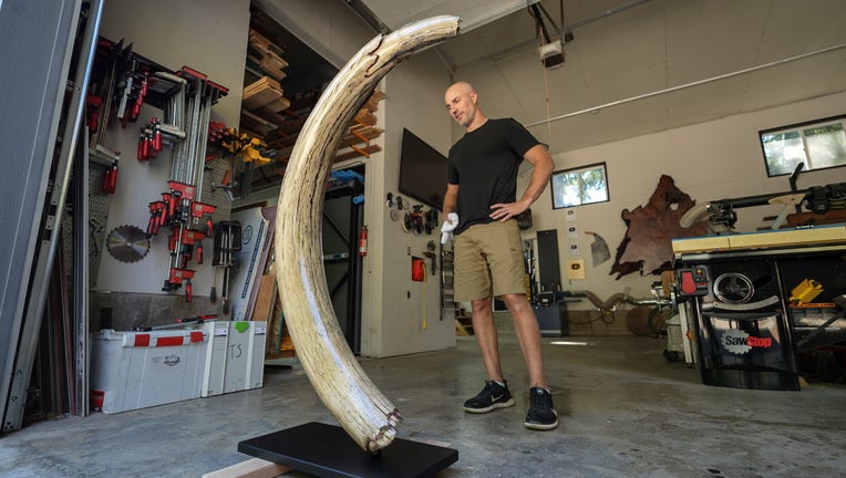 thumbnail_full-res-tusk_1.24.4.jpg