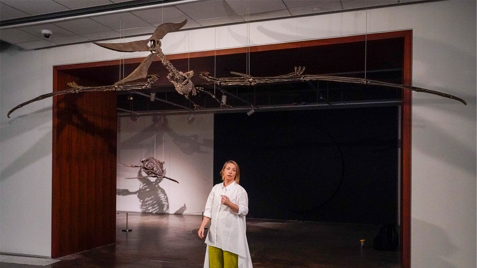Cassandra Hatton, Sotheby's Senior Vice President, Global Head of Science & Popular Culture, talks about the Pteranodon skeleton on display at Sotheby's during a media preview, Monday, July 10, 2023, in New York. The prehistoric predator will headline Sotheby's Live Natural History Auction, Wednesday, July 26th. (AP Photo/Mary Altaffer)