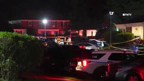 Gunman shoots girl, 3, during Ridge standoff, then fatally shoots himself