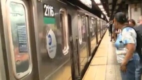 Dog on tracks halts 4, 5, 6 subway lines, causes delays