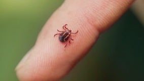 Tick-Borne Disease Resource Center opens on Long Island