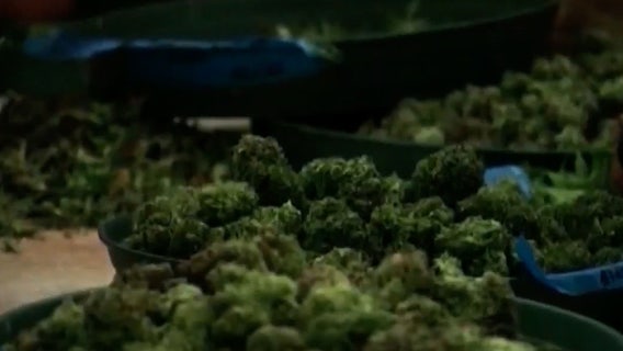 Landlords could face big fines as new bill aims to crack down on illegal smoke shops