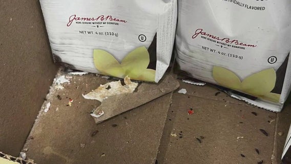 Rats overrun Queens Dollar Tree store