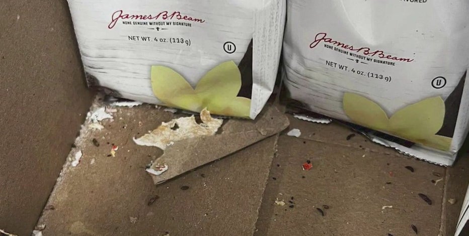 Rats overrun Queens Dollar Tree store