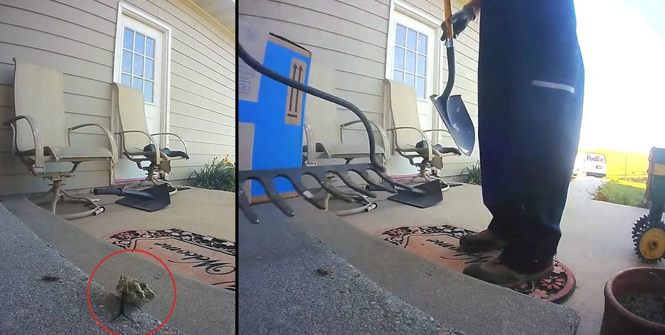 FedEx delivery driver kills rattlesnake on rural Nebraska porch
