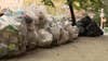 War on rats: NYC to require all businesses use trash bins in 2024