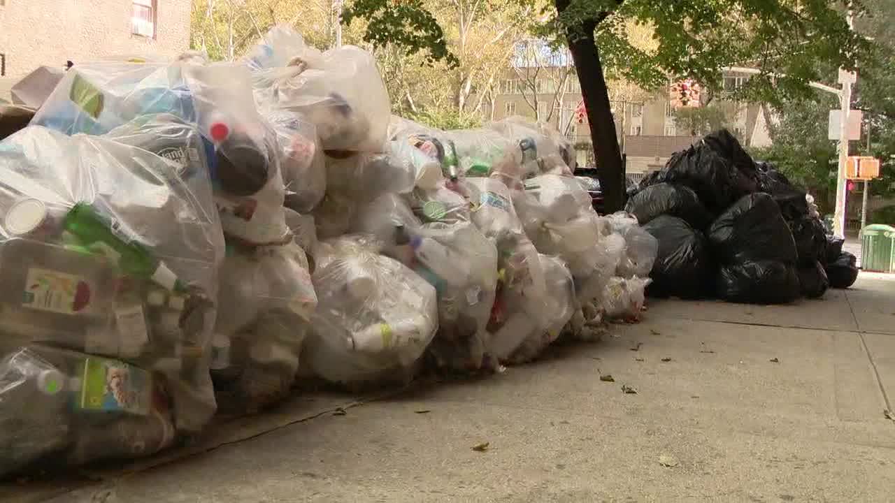 大规模清剿老鼠战争：纽约市将要求所有企业在2024年使用垃圾箱