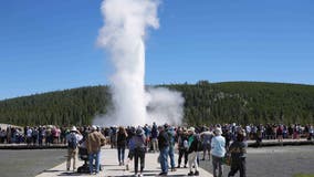 Free access to national parks this weekend in celebration of National Public Lands Day!