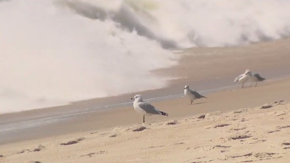 Hurricane Lee threatens beaches with erosion and rip currents this weekend