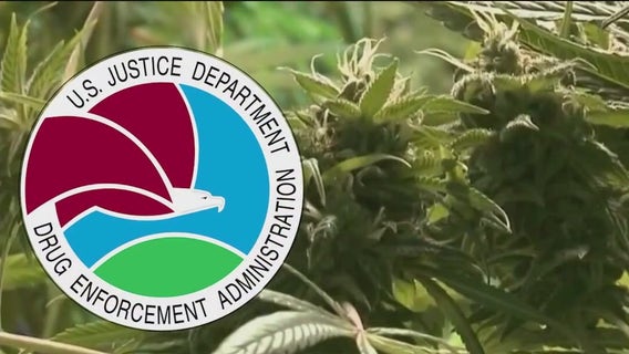 Biden Administration considering loosening marijuana restrictions