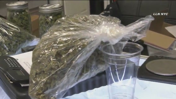 Sen. Schumer introducing banking act for cannabis businesses