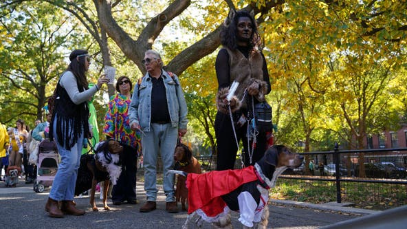 Tompkins Square Park Halloween Dog Parade canceled