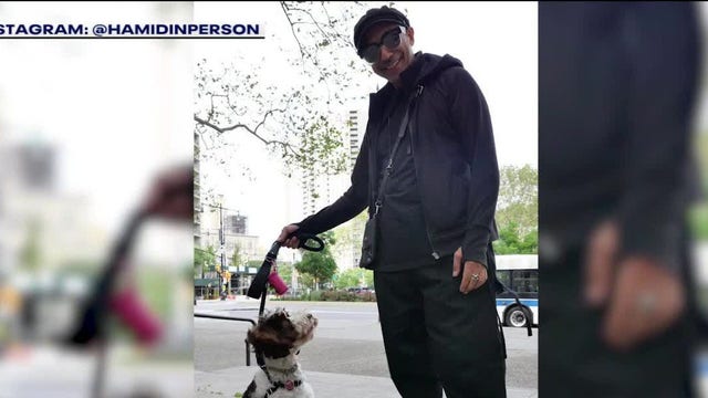 Man arrested after dog runs onto park turf in Brooklyn