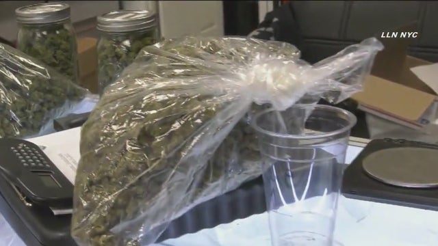 Sen. Schumer introducing banking act for cannabis businesses