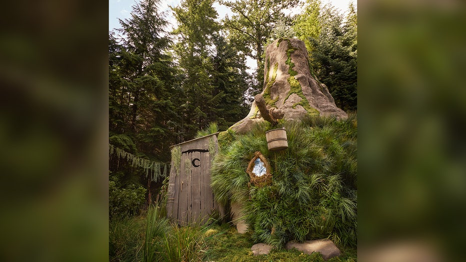 Shrek-Airbnb3.jpg