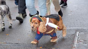 Tompkins Square Dog Parade returns to the East Village