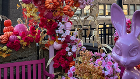 Magic Hour's Pink Pumpkin Patch rooftop pop-up in Times Square: A Halloween spooktacular
