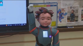 Meet Milo, Long Island's first educational robot