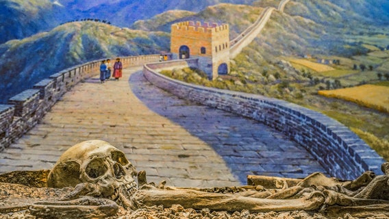 NY natural history museum changing how it looks after thousands of human remains in collection