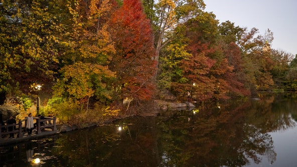 Peak, near-peak conditions for fall foliage expected throughout NYC area this weekend