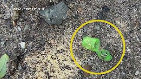 Fentanyl warning goes out to Fort Greene Park visitors