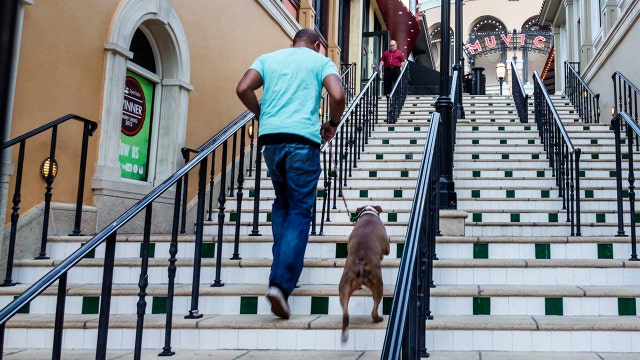 Climbing stairs may lower heart disease risk, study finds