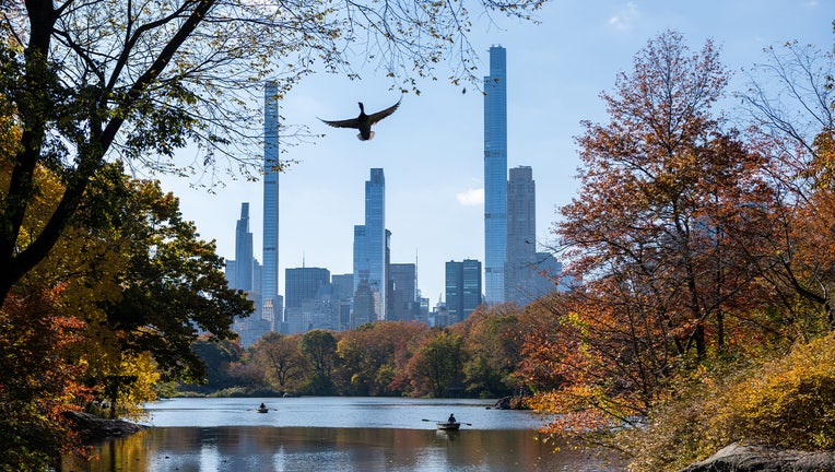 What not to do in Central Park?