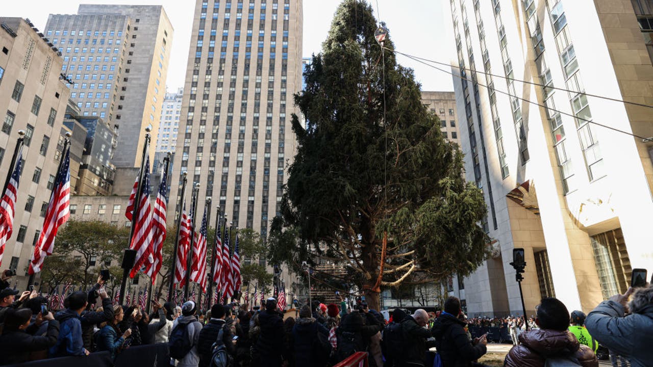 洛克菲勒圣诞树盛大抵达纽约市