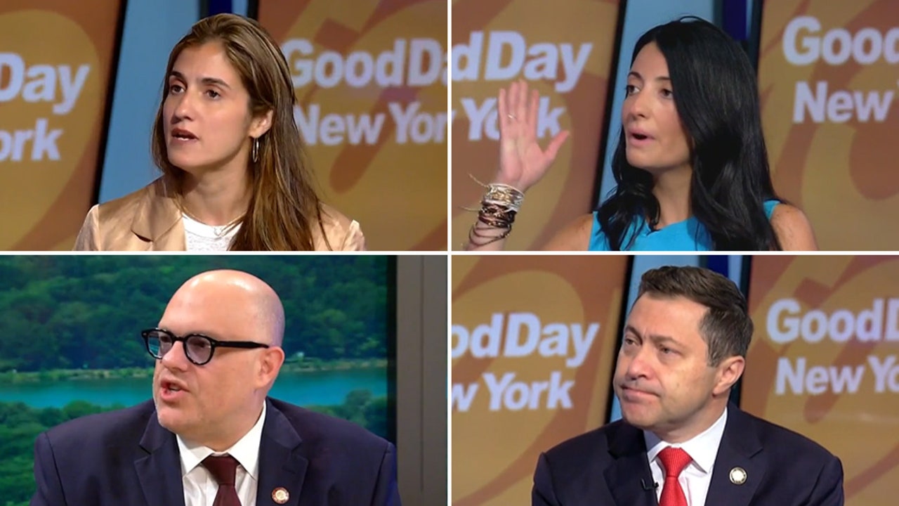 New York elections Watch interviews from the candidates