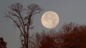 Beaver Moon: How and when to see November's full Moon