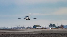 Flying car takes first successful flight