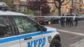 Queens man struck and killed during attempted carjacking