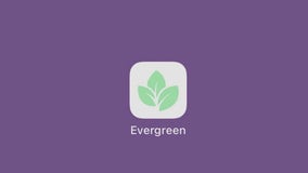 Jericho High School students innovate with Evergreen app to tackle food waste