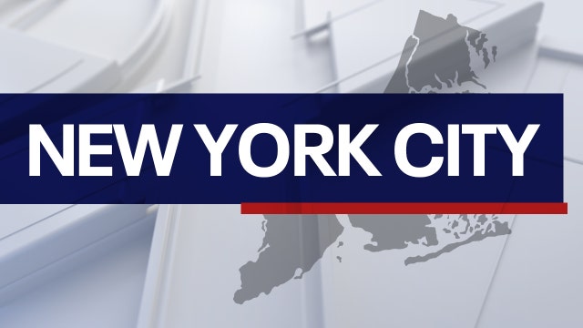 New York City Council election results 2023