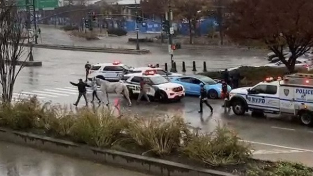 Horse breaks loose in Manhattan, drags coachman, collides with 4 other vehicles