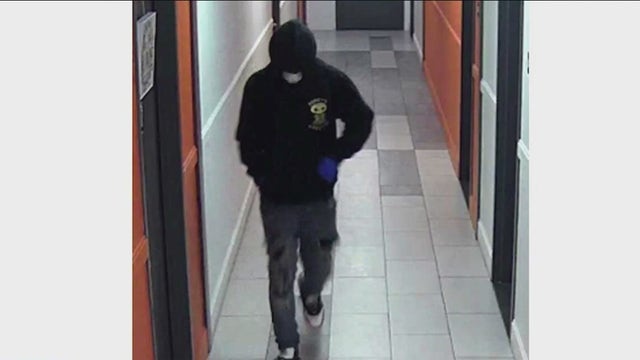 Dognapper stole six teacup poodle puppies from Bronx apartment: NYPD