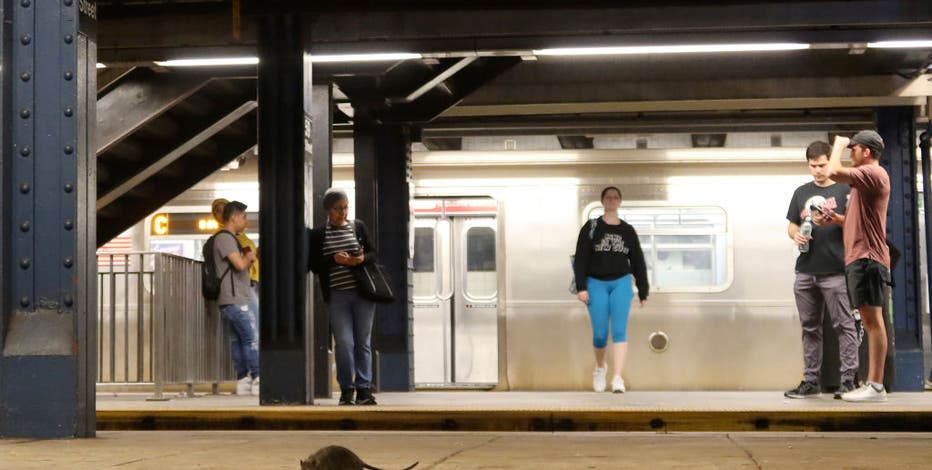App shows which NYC subway stations are the rattiest