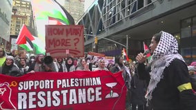 NYC pro-Palestinian protests target major transit hubs: 'Bring banners, bullhorns'