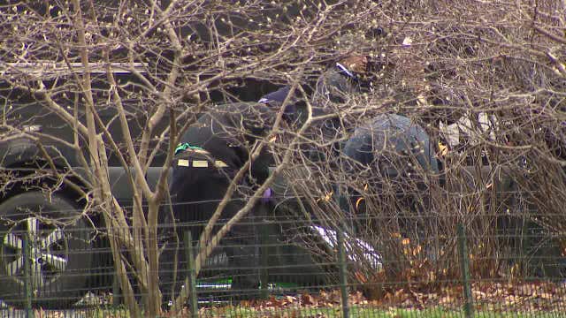 Man found dead with stab wounds in Central Park: officials