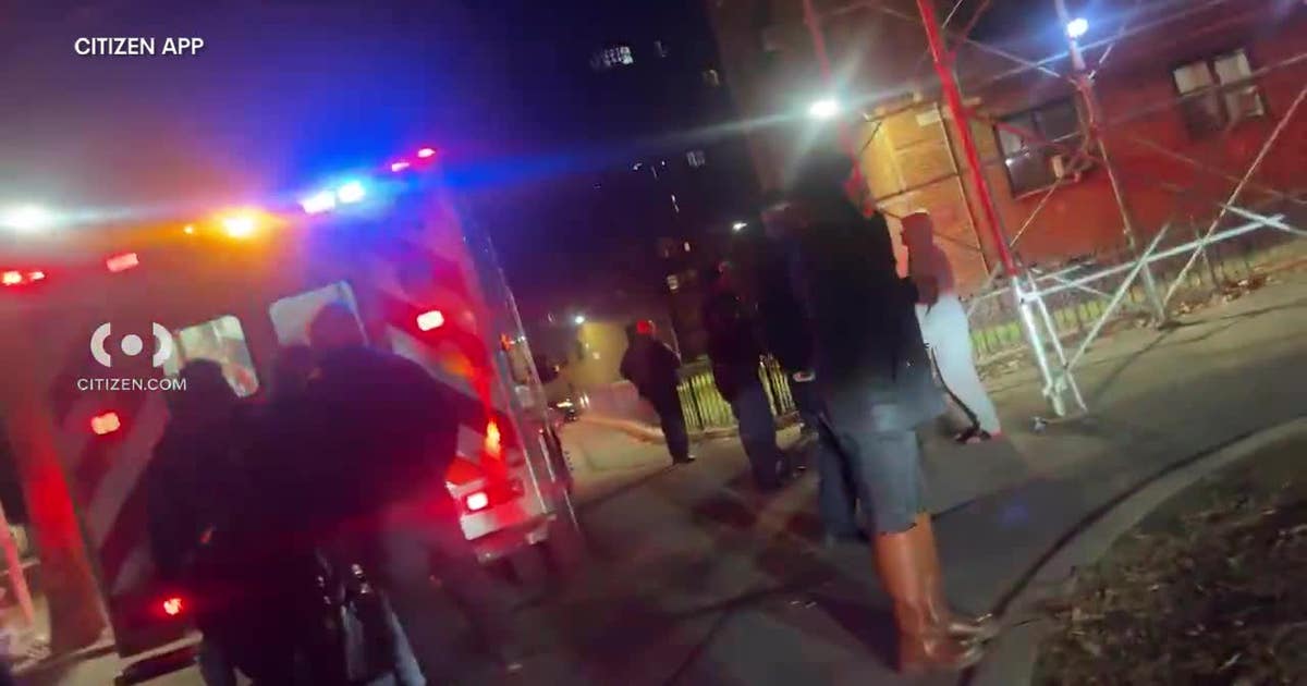 Canarsie shooting: Boy, 15, killed outside Brooklyn NYCHA complex | FOX ...