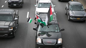 Pro-Palestinian protest to 'flood' JFK Airport this weekend: 'Bring flags, signs'