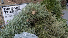 Mulchfest NYC: Last chance to recycle your Christmas tree