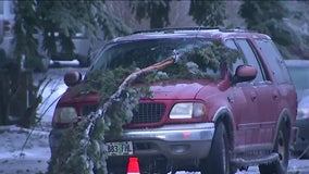 3 killed, baby rescued after power line falls on car during ice storm