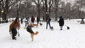 NYC snow forecast: What are the chances this week for the city?