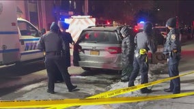 Suspect in custody after elderly couple stabbed to death in Brooklyn home