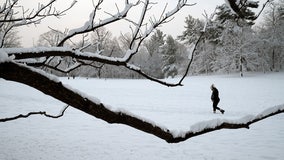 Is snow going to stick in your area? Forecast for NY, NJ, CT