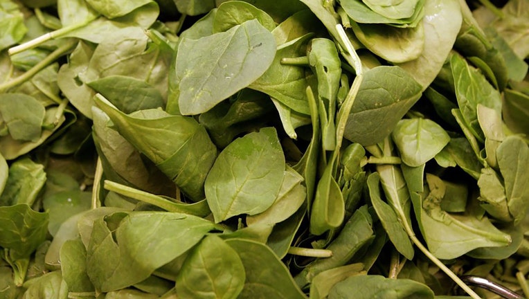 FILE - Fresh spinach leaves are seen on Sept. 15, 2006, in San Rafael, California. (Photo by Justin Sullivan/Getty Images)