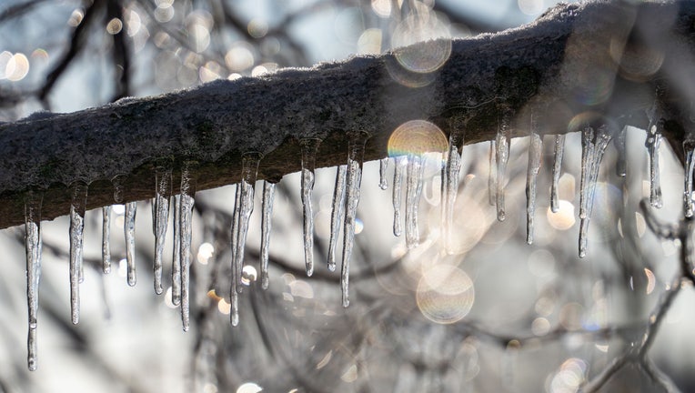 19 January 2024, Hesse, Frankfurt/Main: Small icicles hang from the branches covered in a thin layer of ice on Frankfurt's Lohrberg, slowly melting in the light of the afternoon sun. Photo: Frank Rumpenhorst/dpa (Photo by Frank Rumpenhorst/picture alliance via Getty Images)