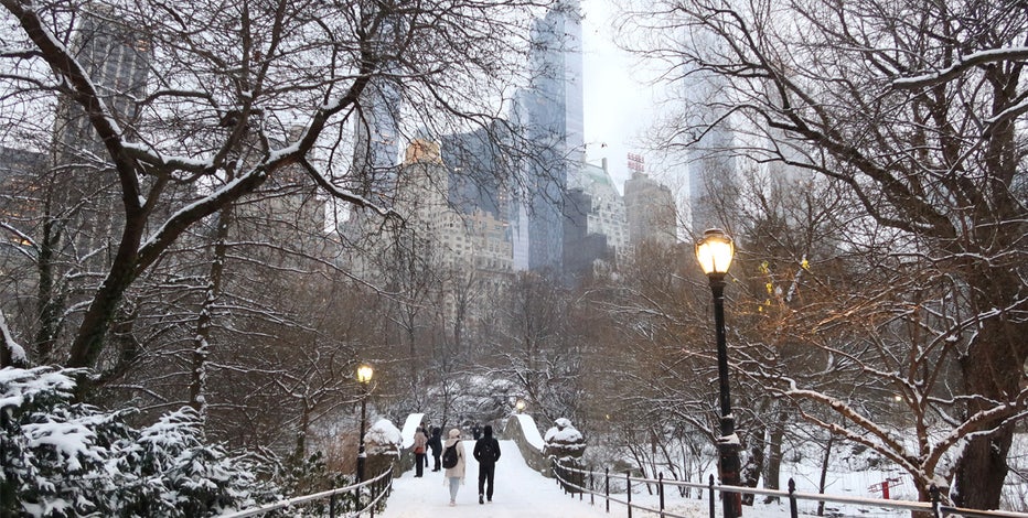 How much snow to expect winter 2024-2025 in NYC | FOX 5 New York